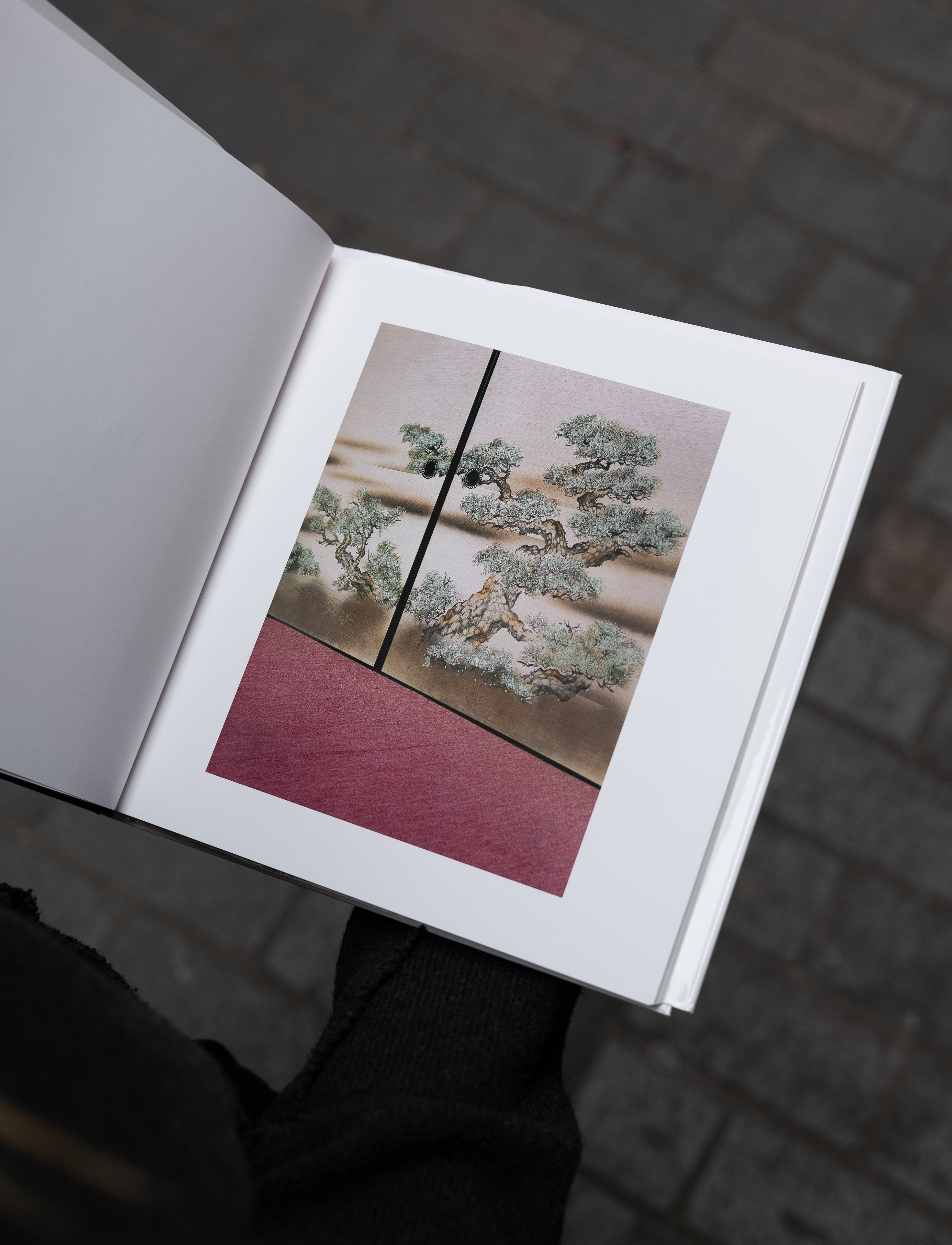 Domestic Scandals by Takashi Yasumura