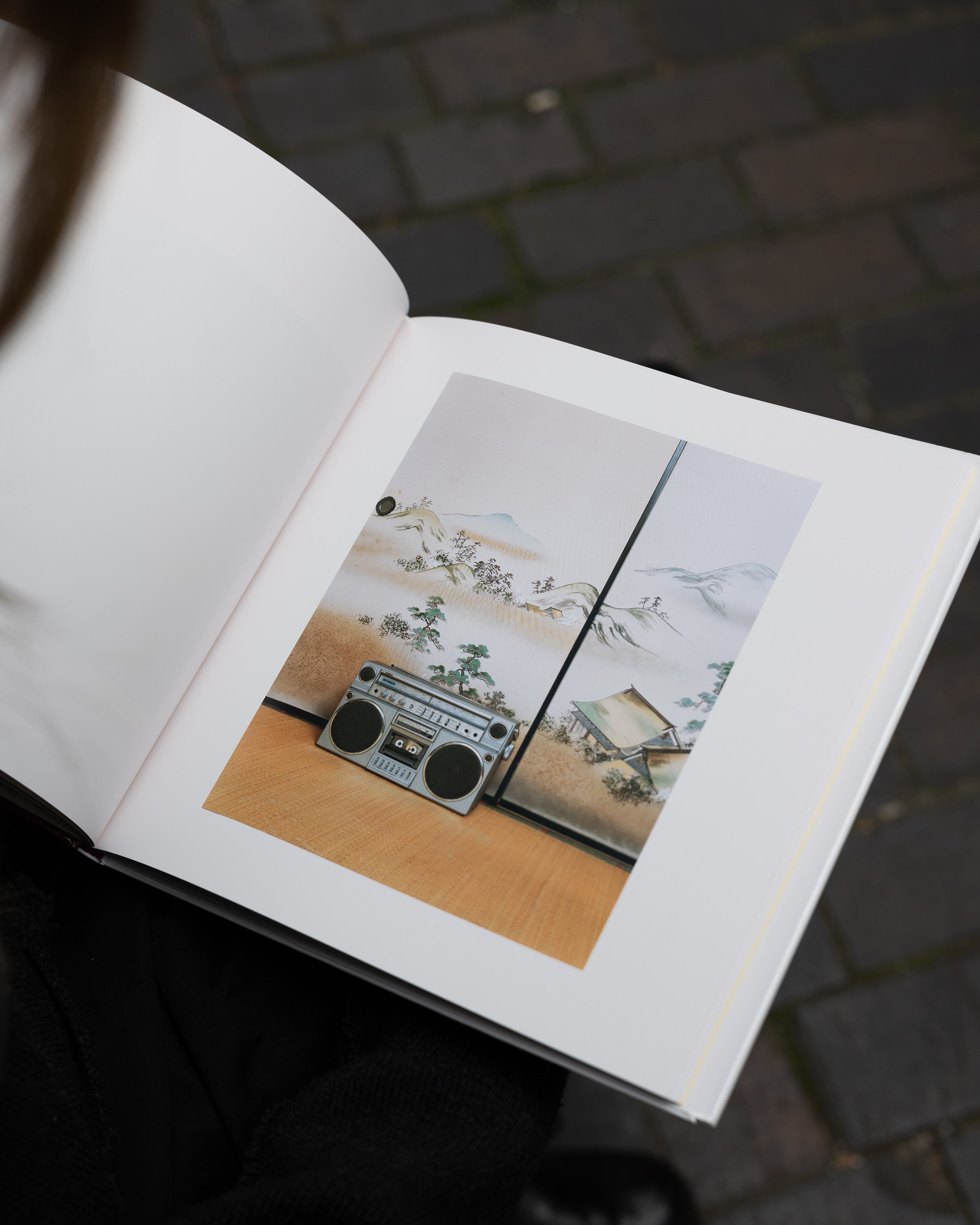 Domestic Scandals by Takashi Yasumura